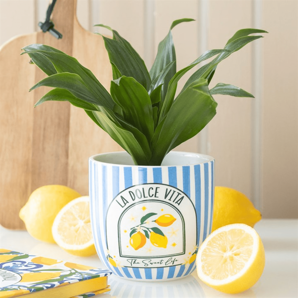 Blue “La Dolce Vita” Striped Plant Pot - BAMBI