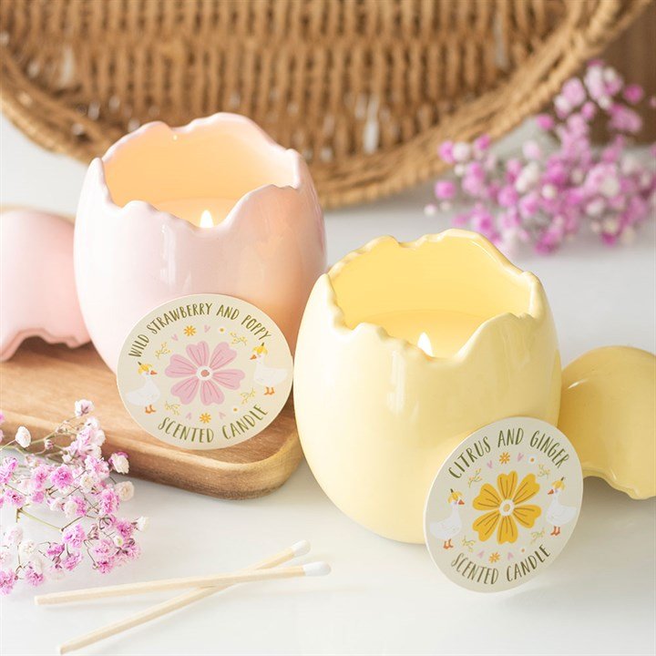 Citrus & Ginger Egg Shaped Candle - BAMBI