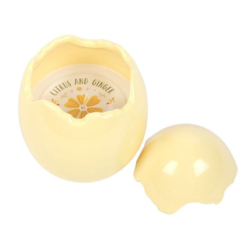 Citrus & Ginger Egg Shaped Candle - BAMBI