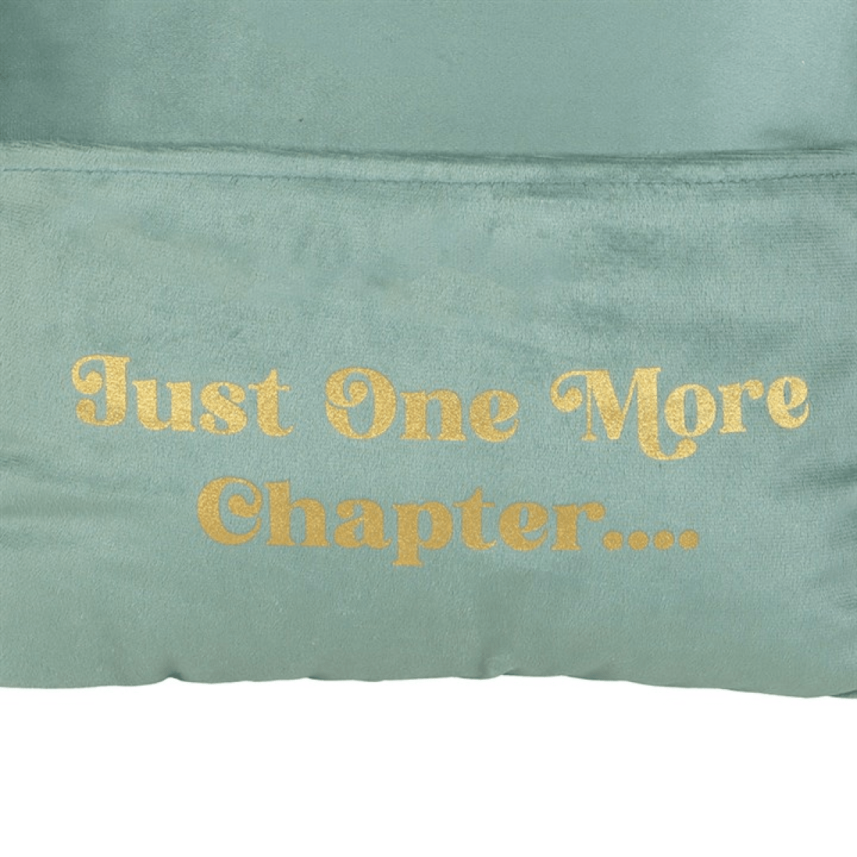 Just One More Chapter Cushion with Book Pocket - BAMBI