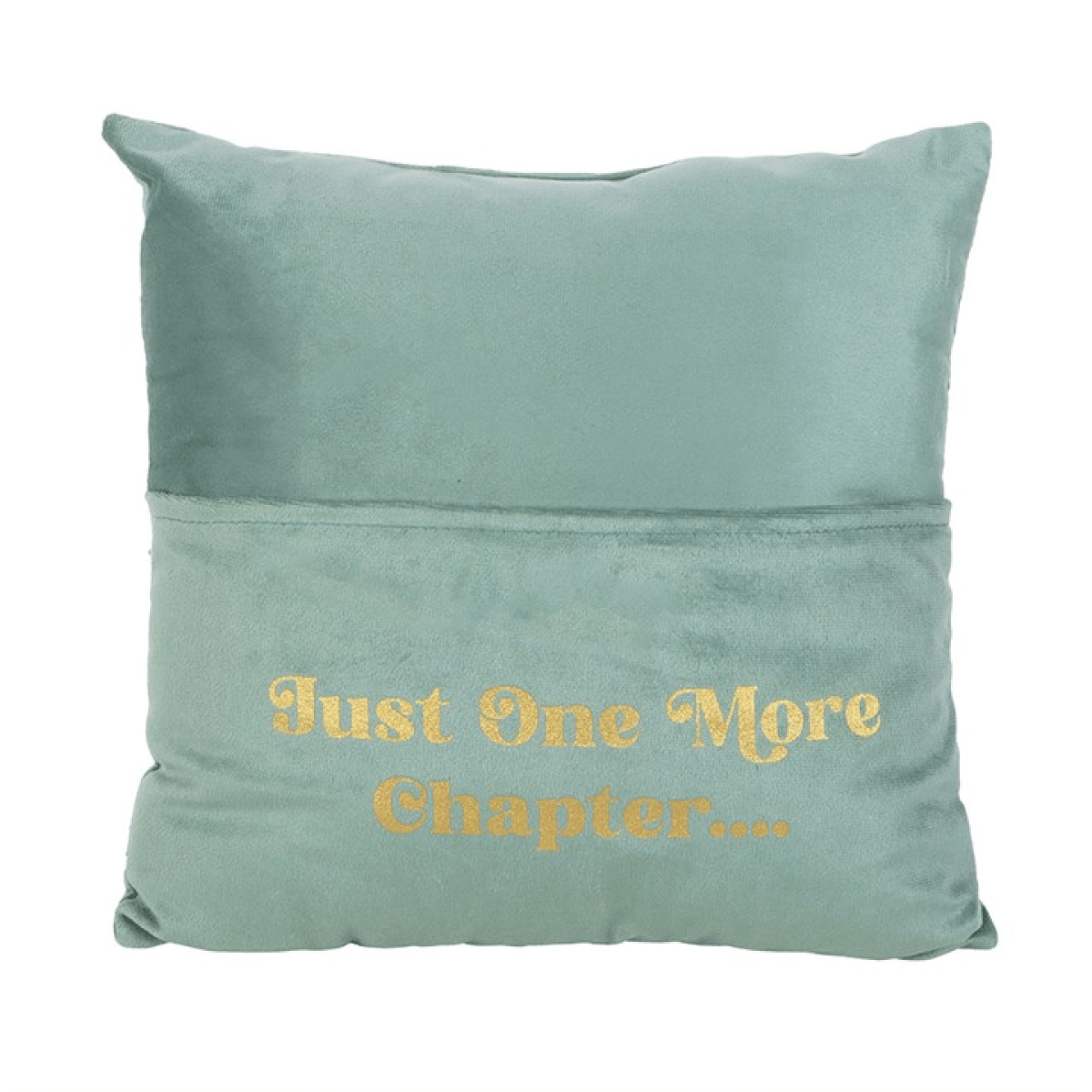 Just One More Chapter Cushion with Book Pocket - BAMBI